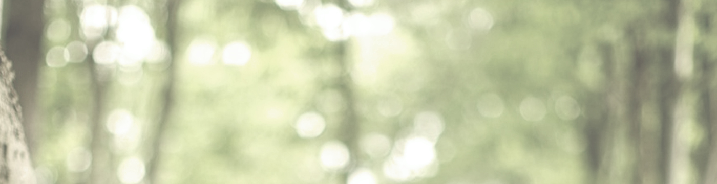 Soul Care Header